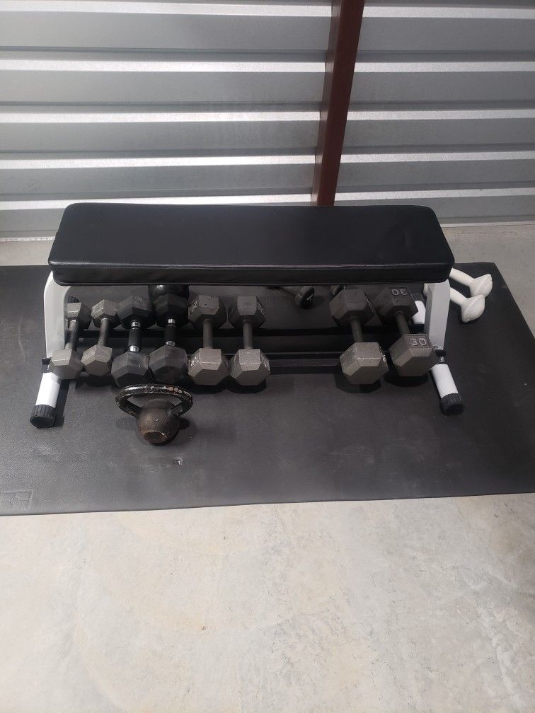 Weight Bench And Wieghts 