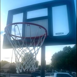 Lifetime Basketball Hoop 