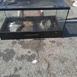 Reptile Tank