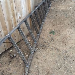 Classic Citrus Tree Ladder