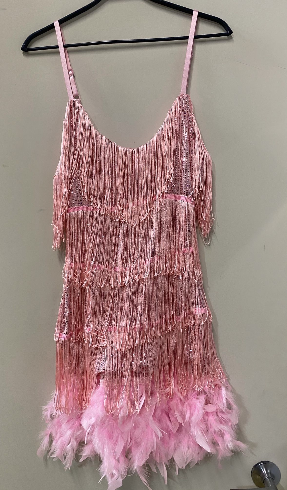 19s 20s Pink Dress Costume Great Gatsby