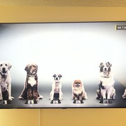 56 inch Samsung TV w electronic wall fireplace