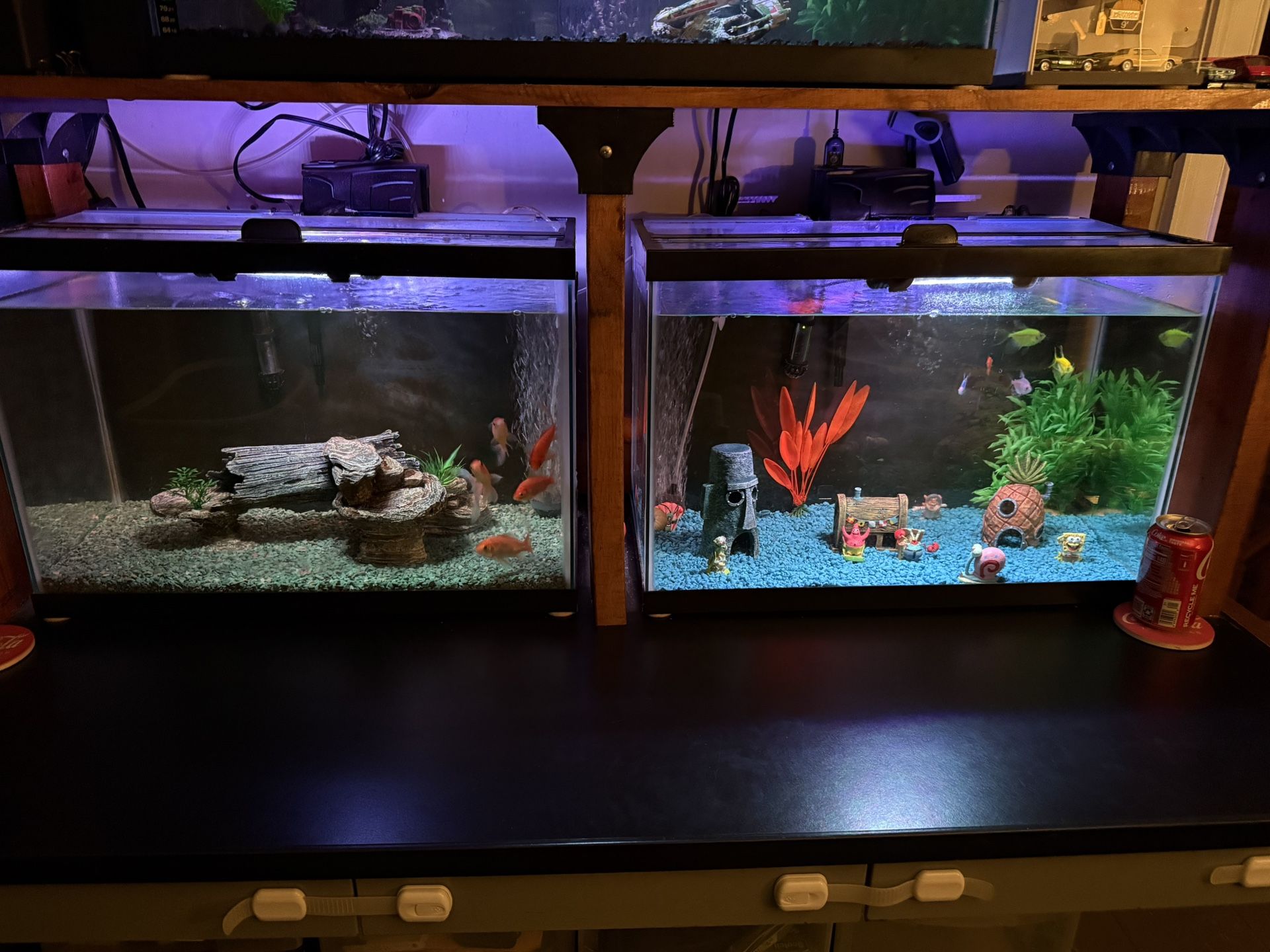 20 Gallon Fish Tanks