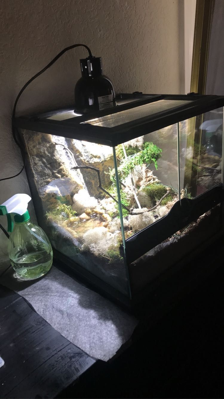 Tank/terrarium For Small Animal