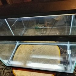 Complete Fish Tank Set Up 