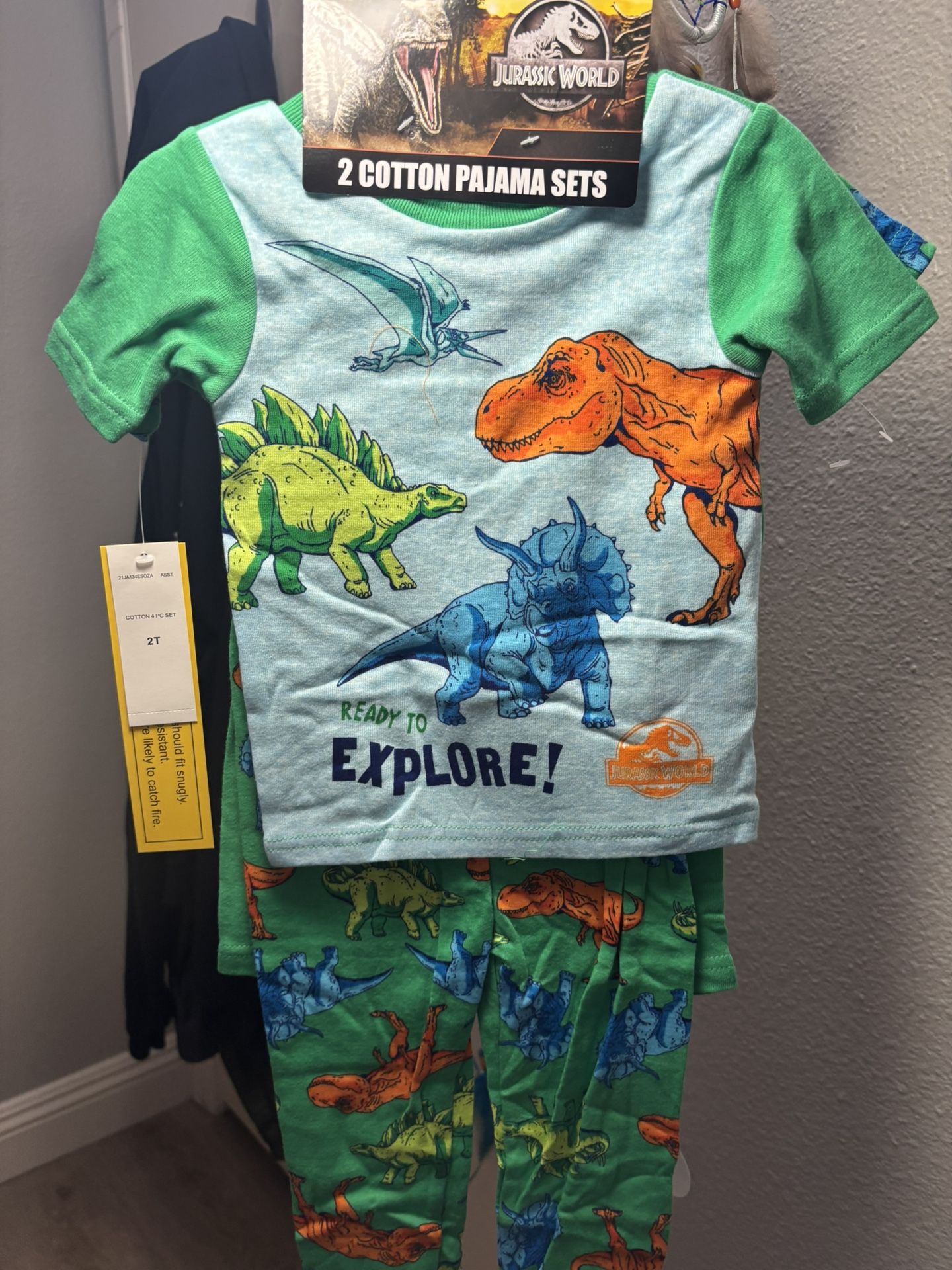Dinosaur Pajamas