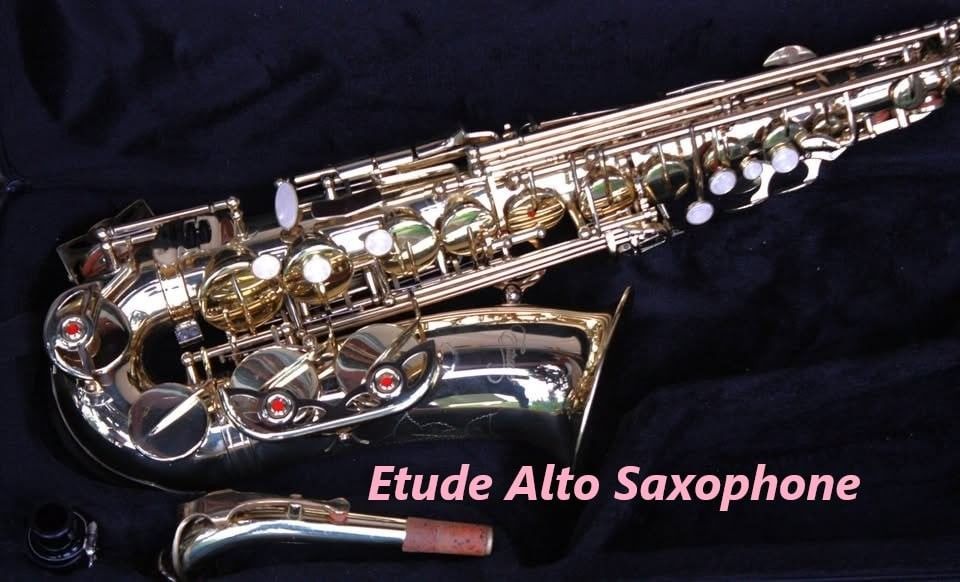Saxophone Alto by Etude