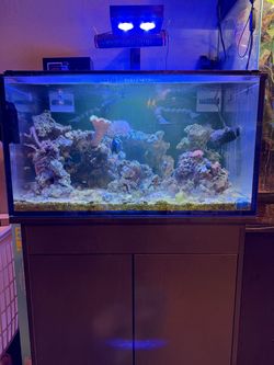 Innovative marine 50 lagoon full setup