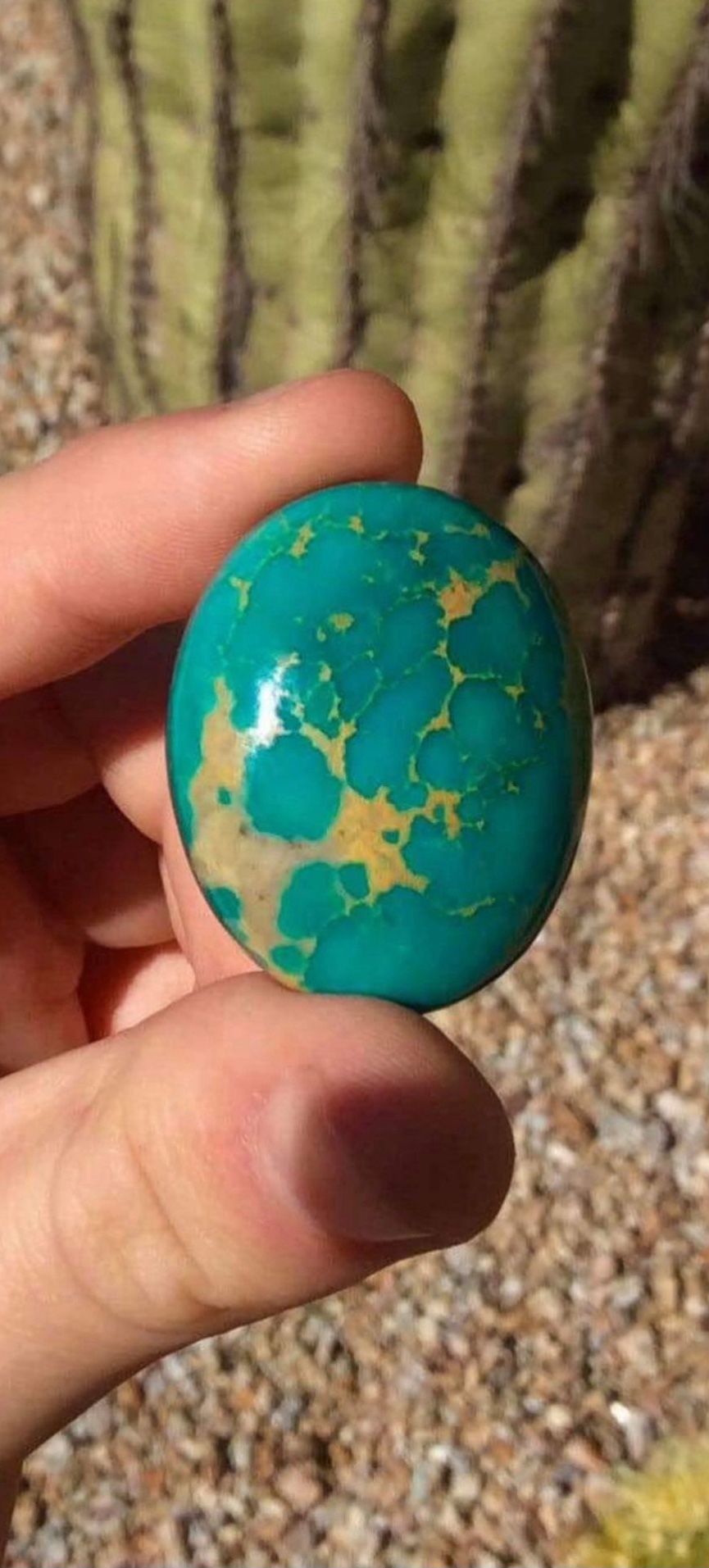 Turquoise Cabochon