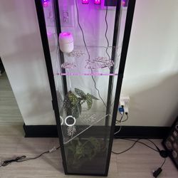 IKEA Glass Cabinet