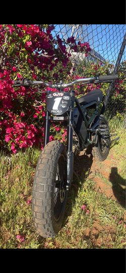 GhostCat Electric Bike – Fat Tire – Fast – Great Condition