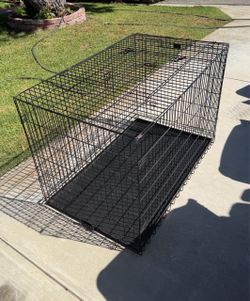 Large dog crate