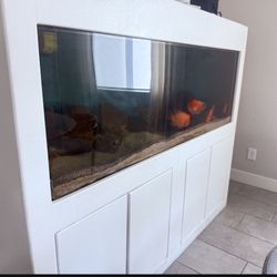 180 Gallon Aquarium 