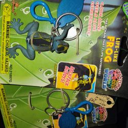Cjildren Toys