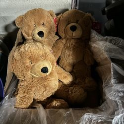 Teddy Bears$$$