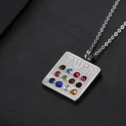 12 TRIBES OF ISRAEL INSCRIBED HEBRE SILVER RARE FIND NECKLACE