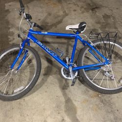 Giant Bike 