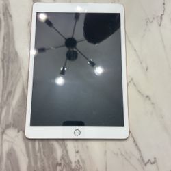 8th Gen Apple iPad With Cellular Data 128GB