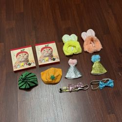 Cat Hats