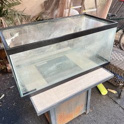 40 Gallon Tank