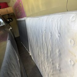 Free Full Size  Matters And Box Springs 