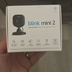 Blink Mini 2