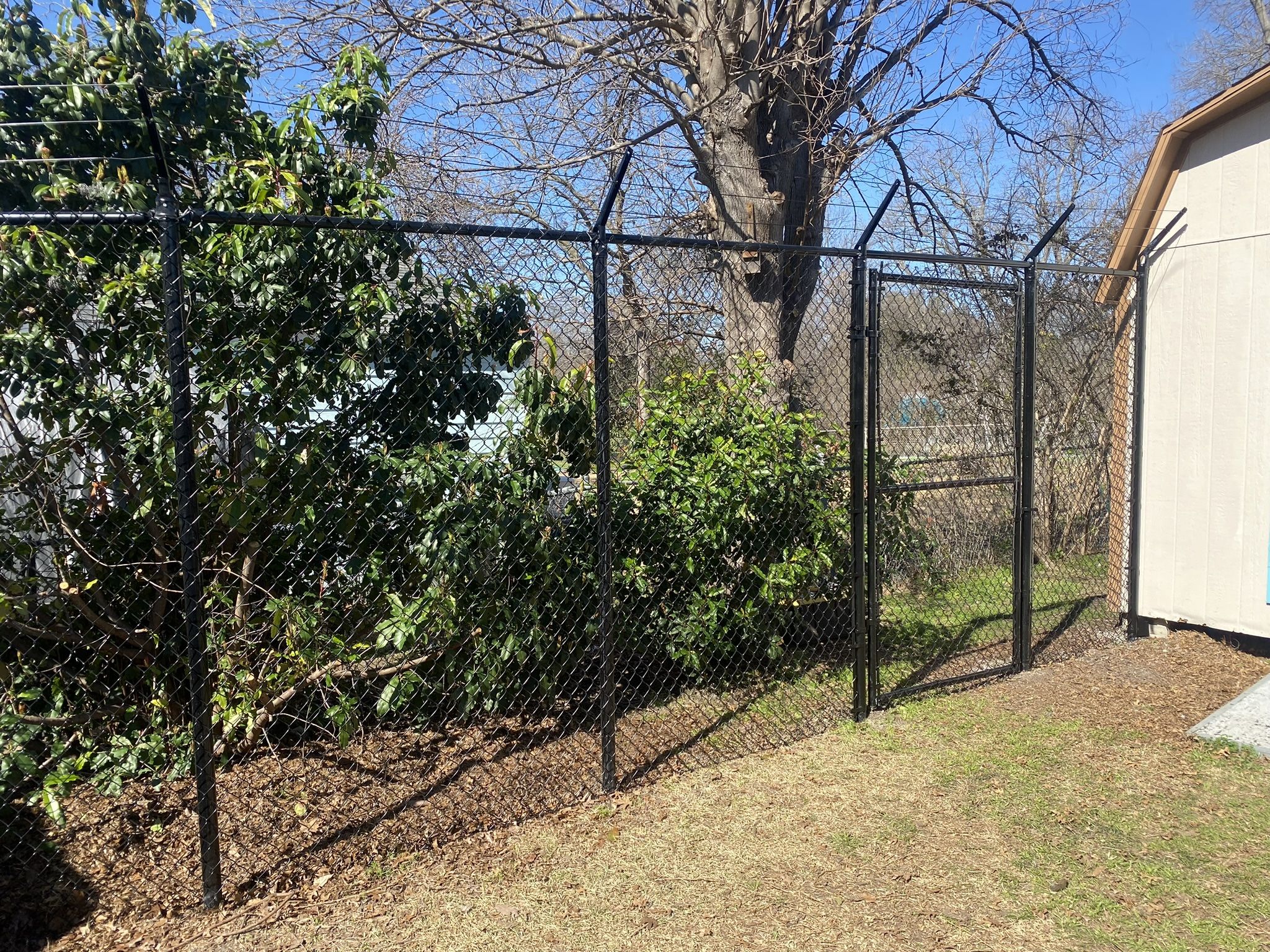 Chain Link Fence