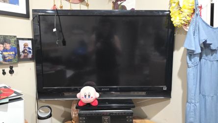 Sony Bravia (Kerby For Scale)