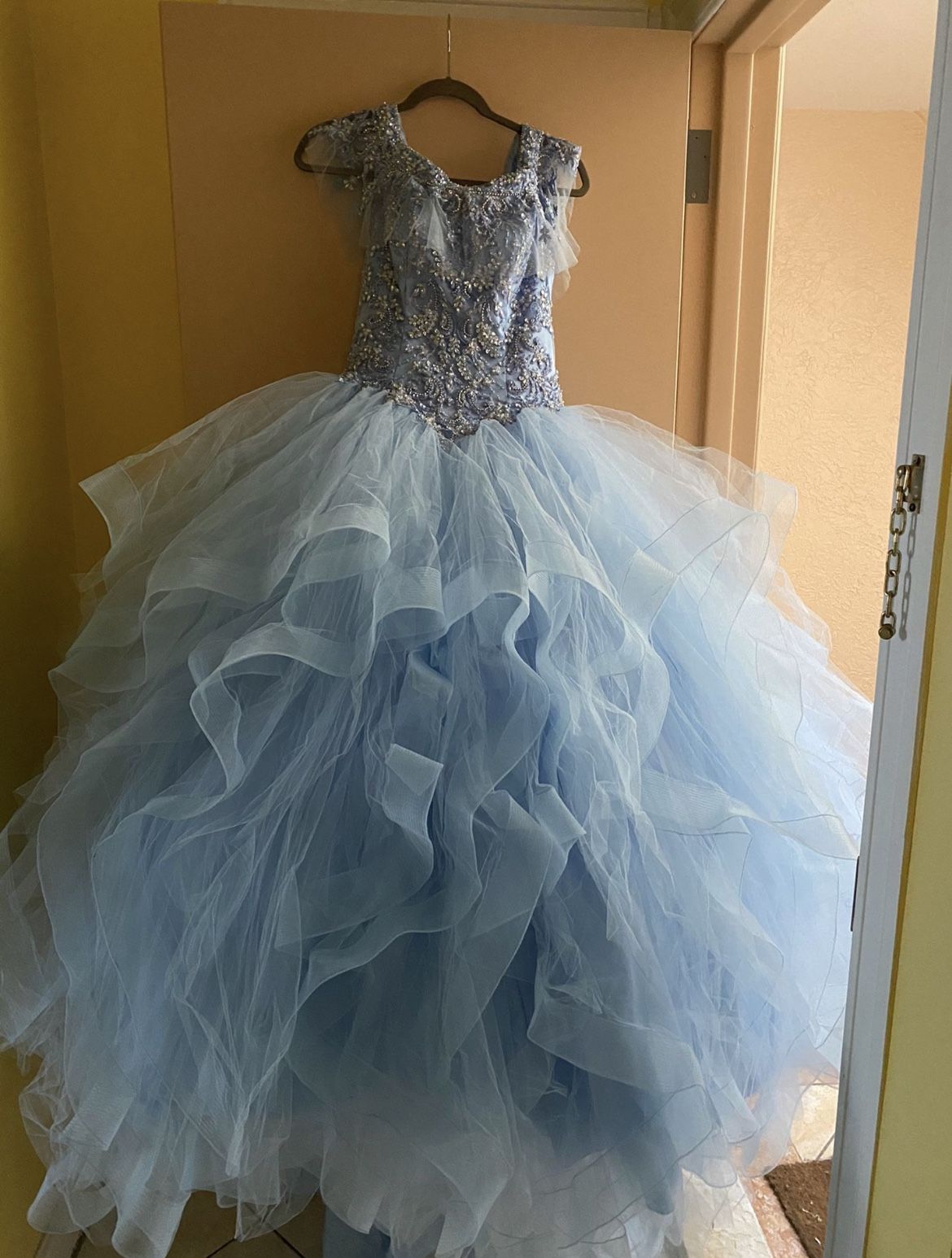 Sweet 16/Quinceanera dress