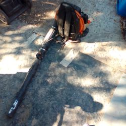 Echo leaf blower