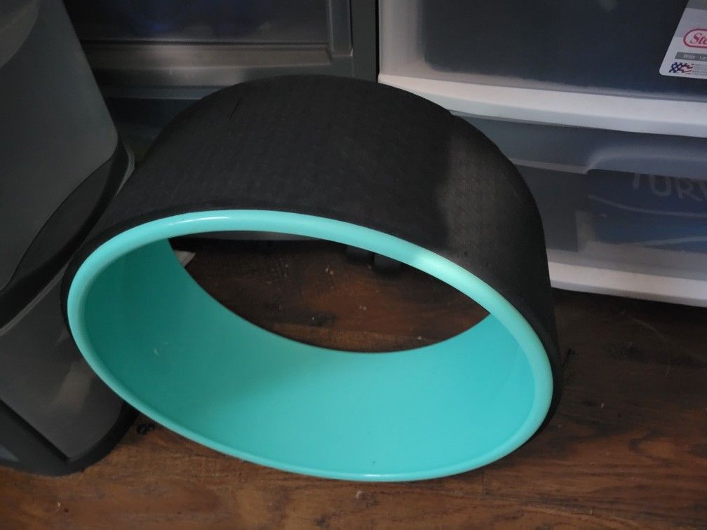Exercise Wheel