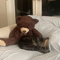 Large Brown Teddy Bear Plush