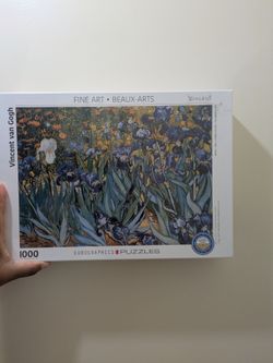 Vicente Van Gogh