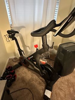 2020 peloton