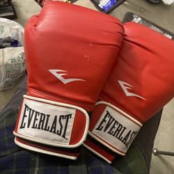 Official Weight Boxing Gloves 