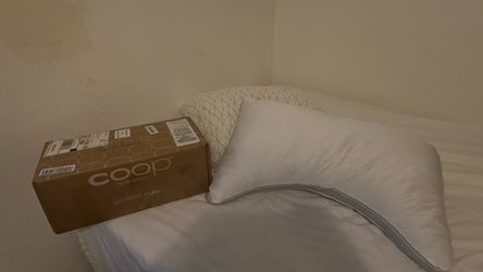 Coop pillows Cool Queen is $50 and the other one $40