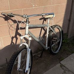 90’s Vintage Mountain Bike