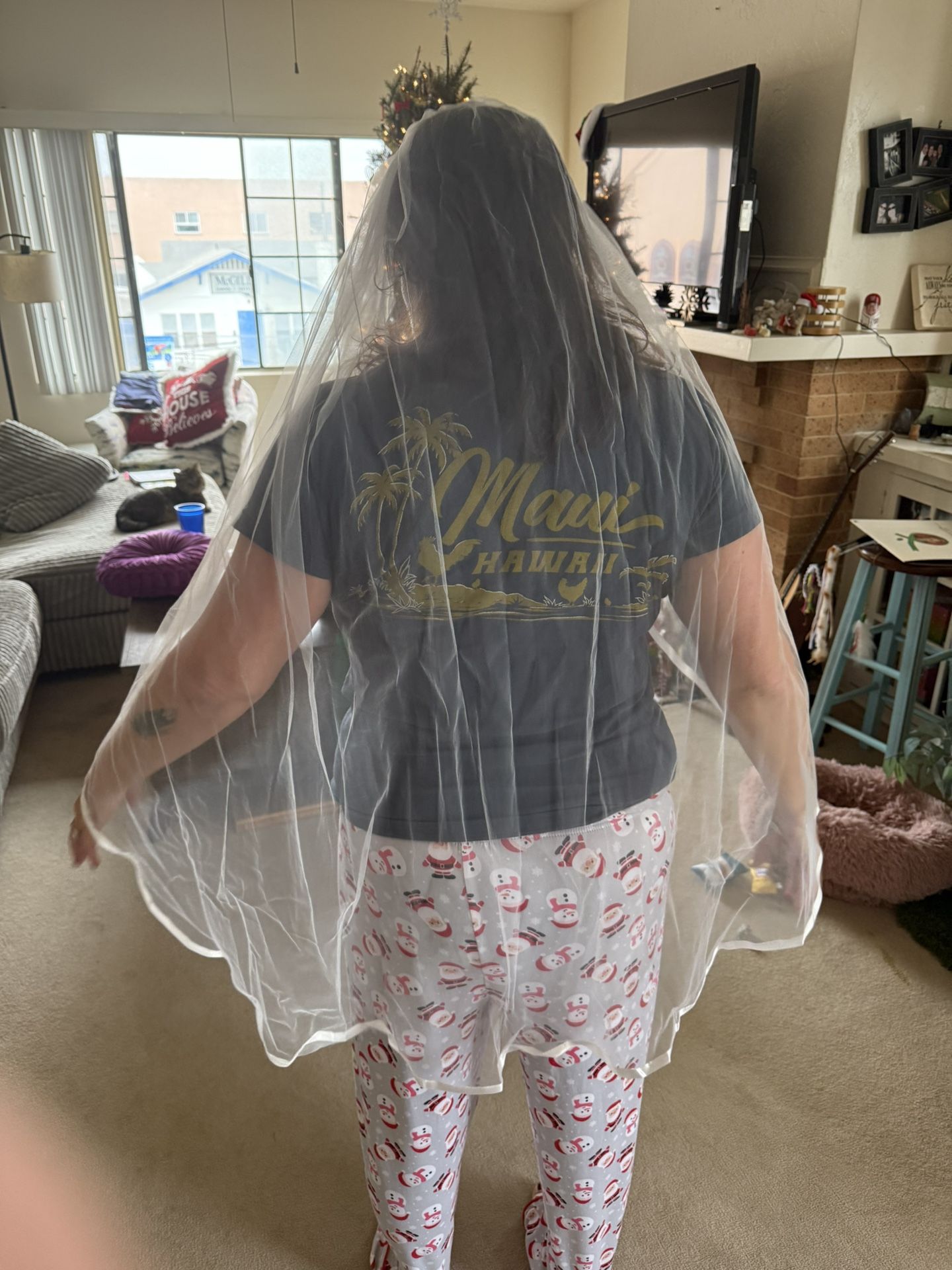 NEW Wedding Veil - $15