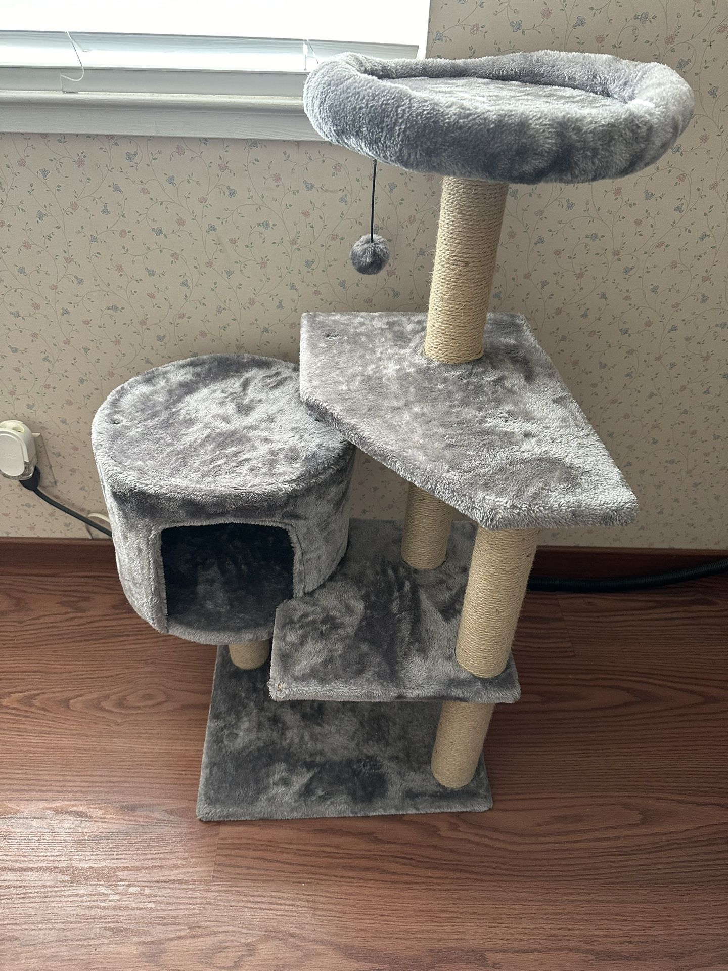 Cat. Tower Or Kittens 