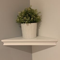 White and green plant 