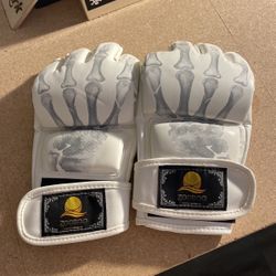 UFC/kickboxing Gloves 