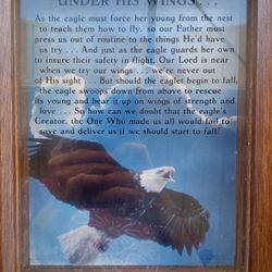 Under His Wings - Picture With Frame