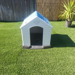 Dog Or Cat House 
