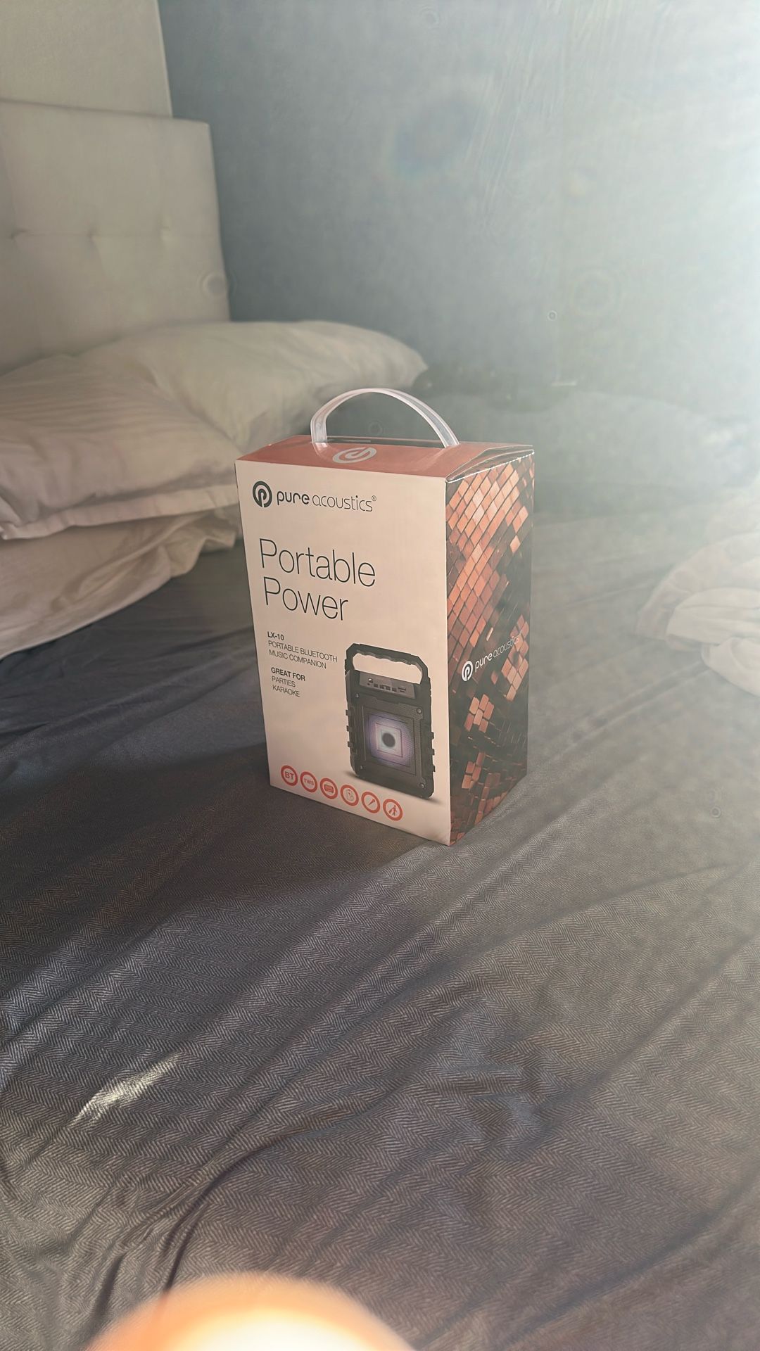 Pure Acoustics Portable Power