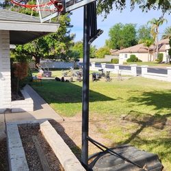 Basketball Hoop