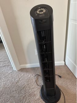 Black fan