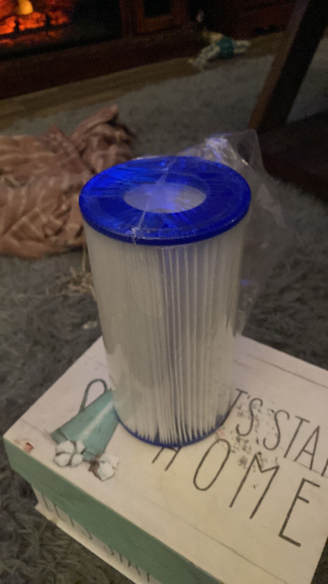Above ground pool filter