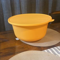 Tupperware Large Bowl 
