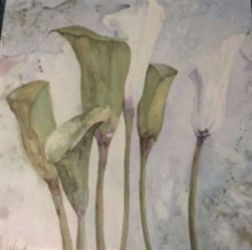 Cala Lili Canvas