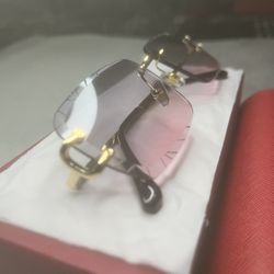 Sunglasses 